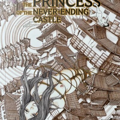 The Princess of the Never-ending Castle pocket edition